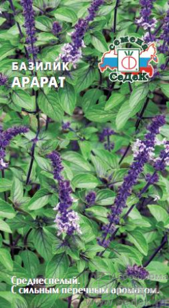 bazilik_ararat