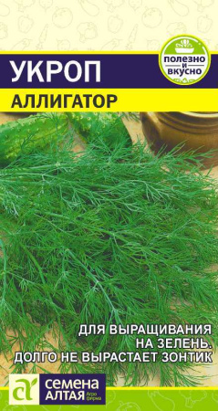 укроп аллигатор