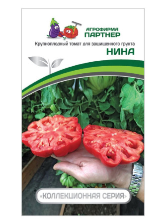 нина