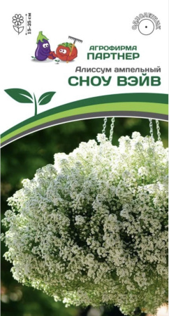 image-16-12-25-09-22-12