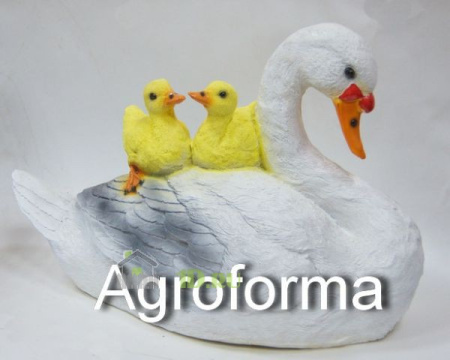 лебедь с птенцами