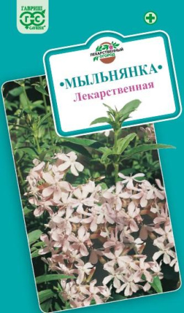 мыльнянка лекарственная
