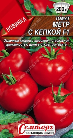 2588