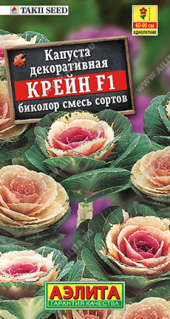 Капуста декоративная Крейн биколор аэлита