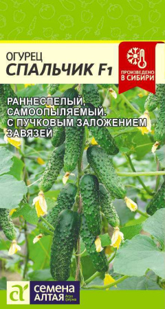 Огурец Спальчик Сем Алтая