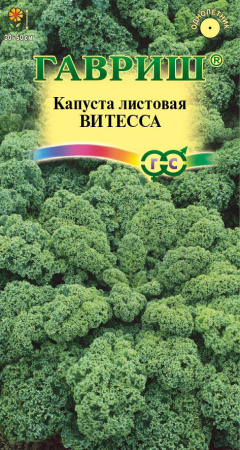 Капуста листовая Витесса гавриш