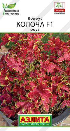 bf669f32_5b65_11ed_810f_0cc47adb9c64_b59d0f42_4bef_11ee_811e_0cc47adb9c64