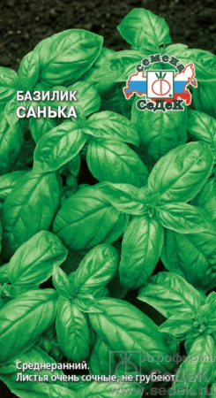 bazilik_sanka