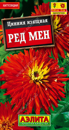 Цинния Ред мен аэлита