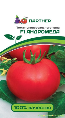 андромеда
