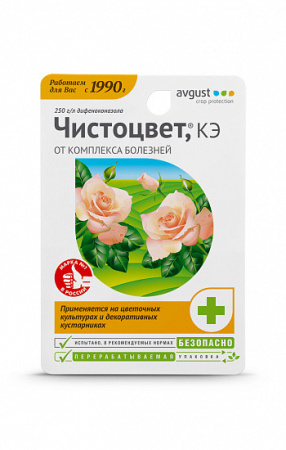 IMG-9881
