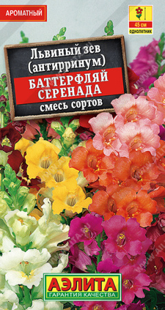 Львиный зев Баттерфляй Серенада аэлита