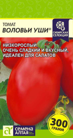 Томат Воловьи Уши Сем Алтая