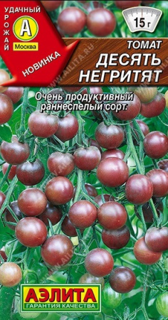 2576