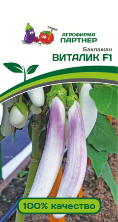 баклажан Виталик партнер