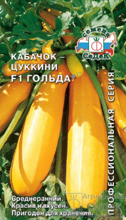 kabachok_golda_f1