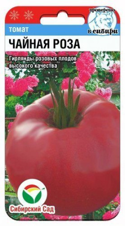 Чайная роза