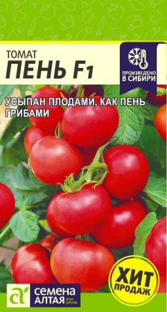 Пень