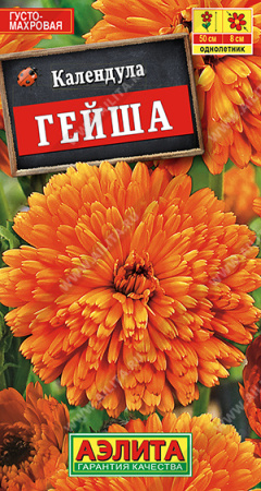Календула Гейша аэлита
