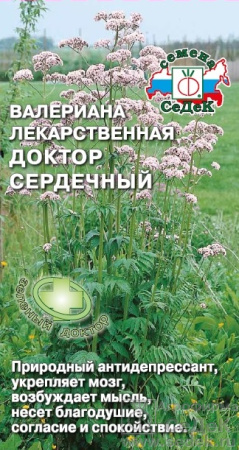 valeriana_lekarstvennaya_doktor_serdechnyy