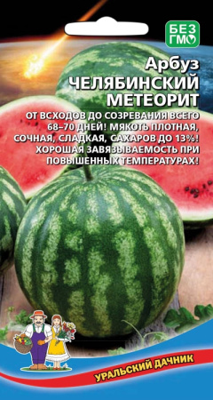 arbuz-chelyabinskiy-meteorit