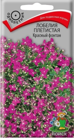 лобелия красныйфонтан поиск
