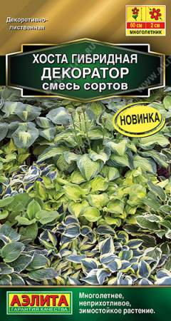 хоста