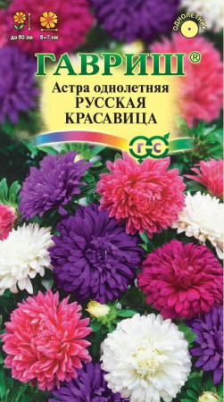 астра русская красавица гавриш