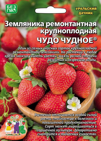 zemlyanika-remontantnaya-krupnoplodnaya-chudo-chudnoe