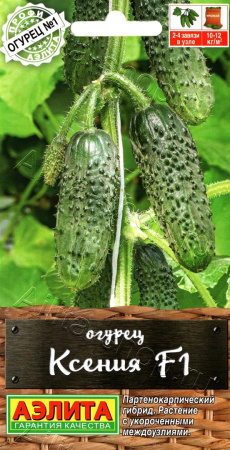 296e66db657c32c1a0530f68601db384