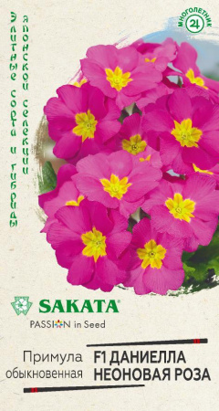 Примула Даниелла неоновая роза гавриш