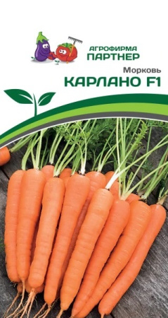 1431