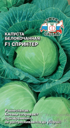 267