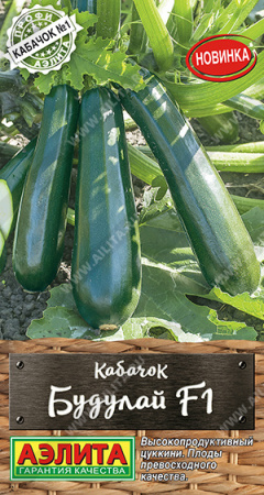 Кабачок цуккини Будулай аэлита
