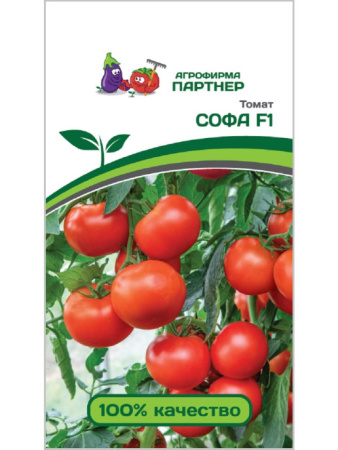 софа