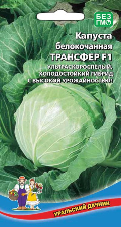 kapusta-belokochannaya-transfer-f1