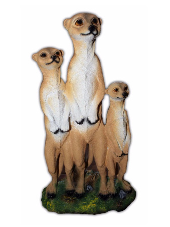 сурика трио мал