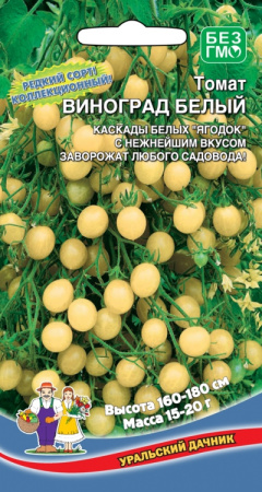 tomat-vinograd-belyy