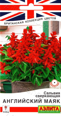 2d23f8807adba2dd555ba31abcd536fd