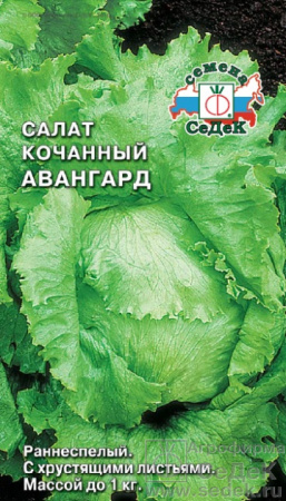 1004
