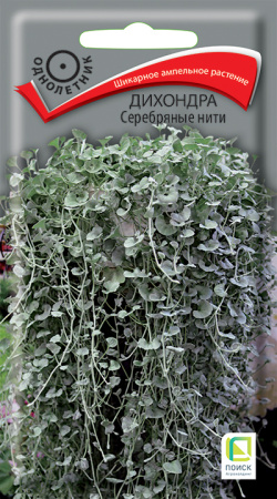 дихондра