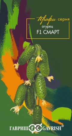 66