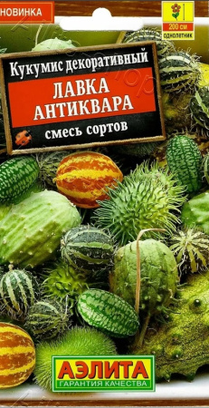 2656