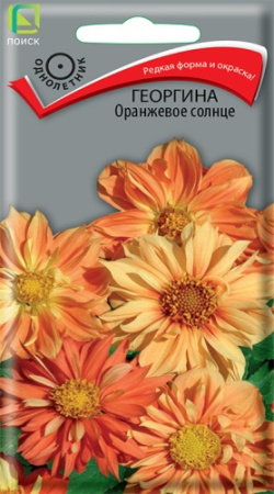 558
