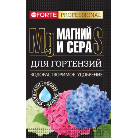 BF_vert_2022_hortenzii_MS_k__________________-min