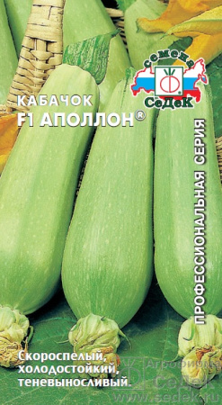 kabachok_apollon_f1