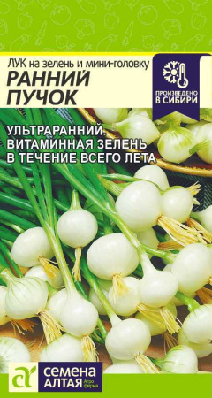 Лук на зелень и мини-головку Ранний Пучок Семена Алтая