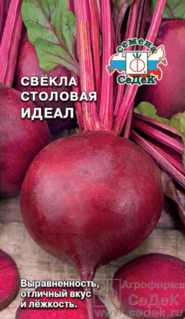 1052