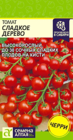 IMG-1553