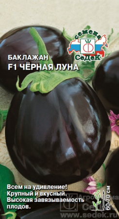 baklazhan_chernaya_luna